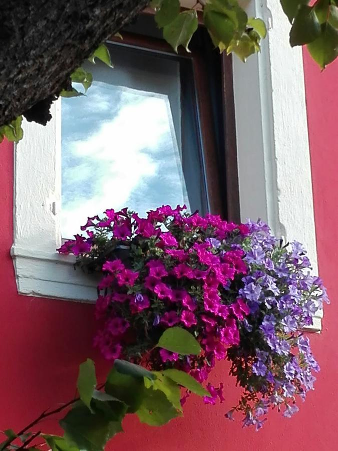 Colognola ai Colli B&B Pontesello المظهر الخارجي الصورة