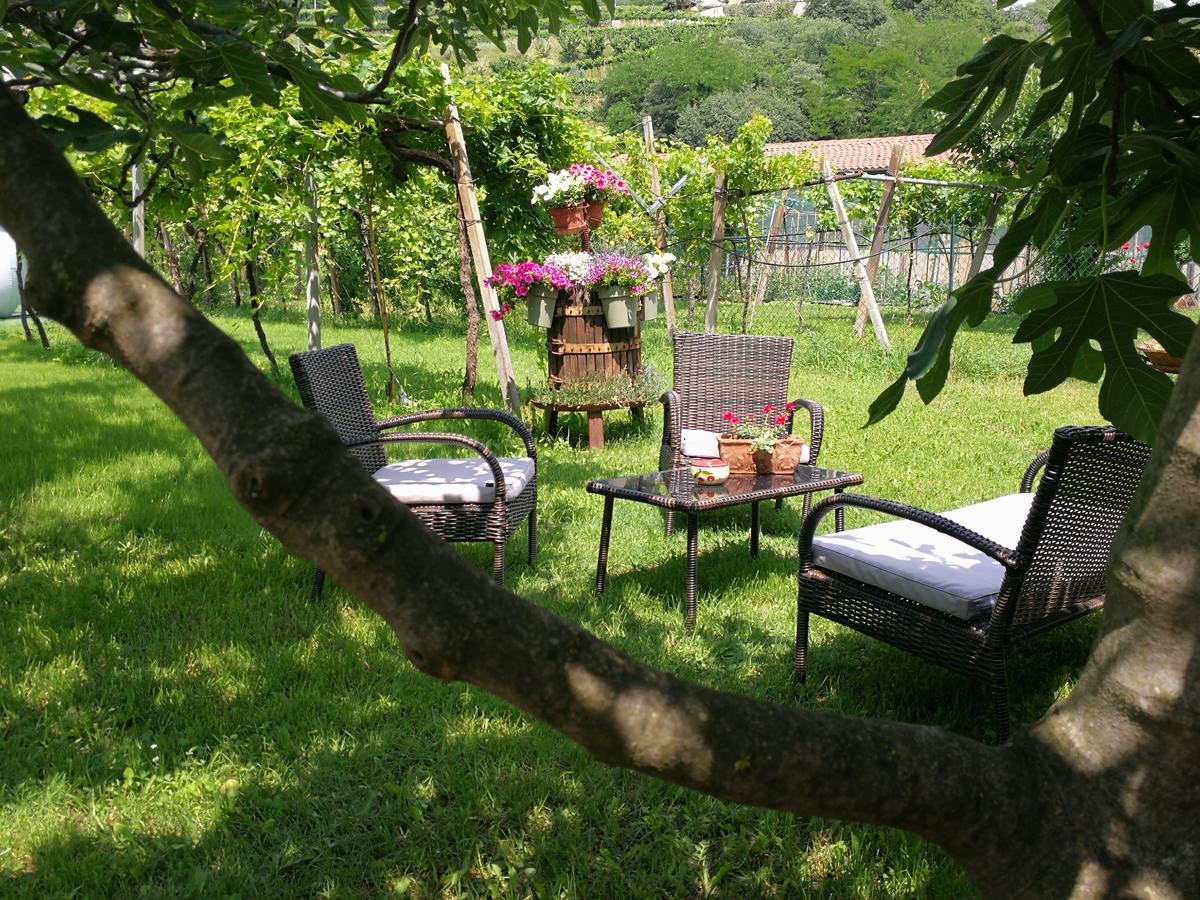 Colognola ai Colli B&B Pontesello المظهر الخارجي الصورة